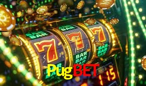 Security Systems Pugbet